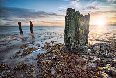 Scenic view of sea at sunset