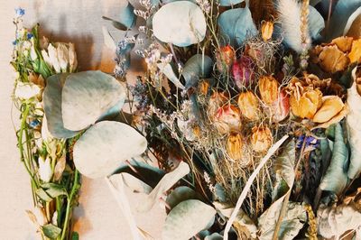 Close-up high angle view of flowers