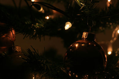 Christmas tree in darkroom at night