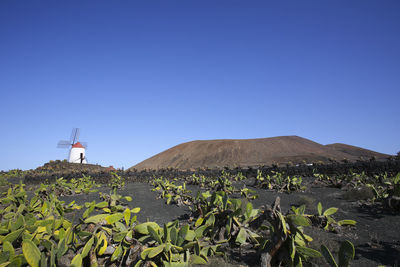 Scenic view of land against clear blue sky