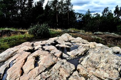 Scenic view of stream in forest against sky
