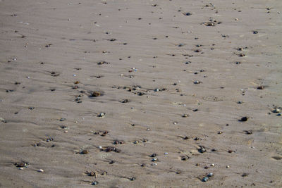 Full frame shot of sand