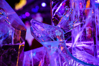 Close-up of illuminated string lights