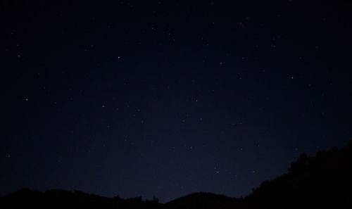 Low angle view of silhouette trees against sky at night