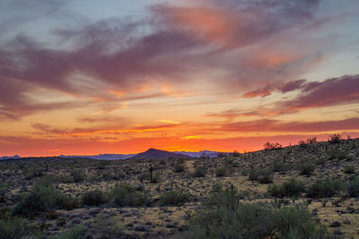 Scenic view of landscape against sky during sunset