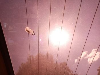 Low angle view of insect on a wall