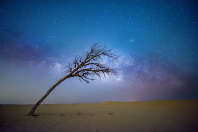 Photograph of milky-way in desert of the united arab emirates