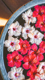 Close-up of flowers