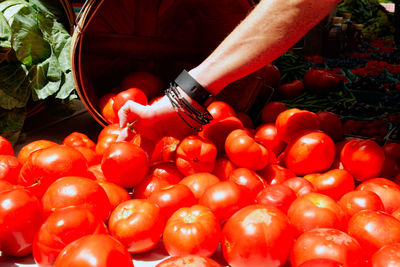 Cropped image of customer picking tomatoes at market