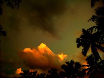 Low angle view of silhouette trees against orange sky