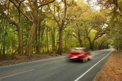 Car on road amidst trees in forest