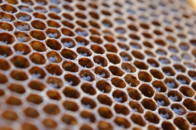 Full frame shot of honeycomb