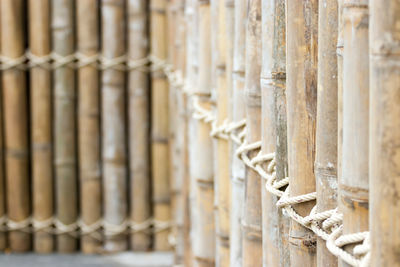 Full frame shot of bamboo