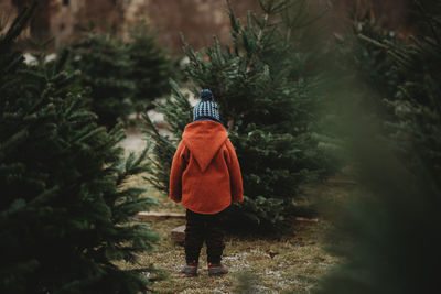 Back view of child with red wool coat at tree farm for christmas