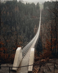 Panoramic shot of bridge in forest