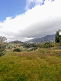 Scenic view of field against sky