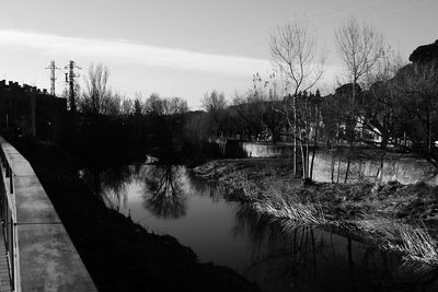 Reflection of trees in water