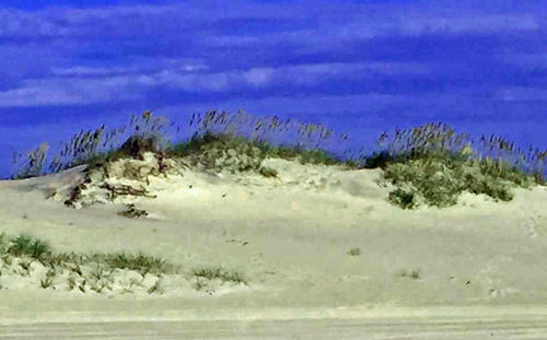 Scenic view of snow covered landscape