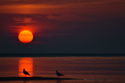 Scenic view of sea against orange sky