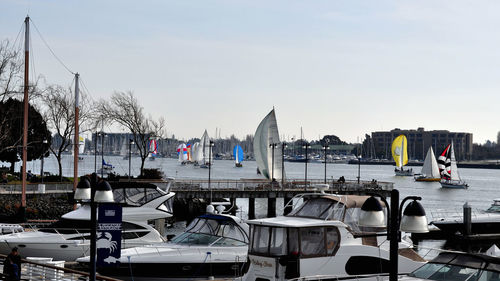 Boats moored at harbor