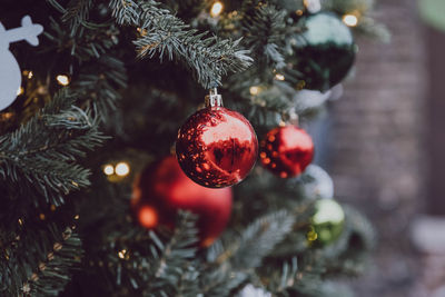 Close-up of christmas decorations hanging on tree