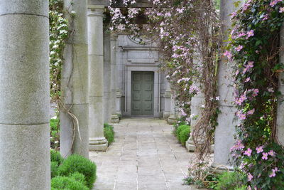 Footpath amidst plants and building