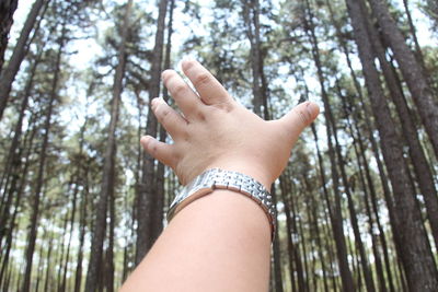 Low angle view of woman hand on plant