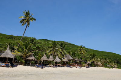 Palm trees on beach against clear blue sky