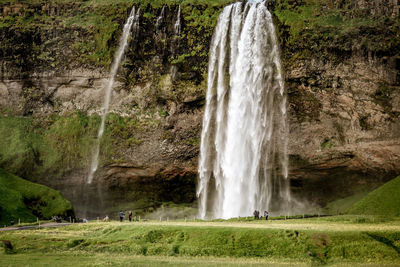 View of waterfall in forest