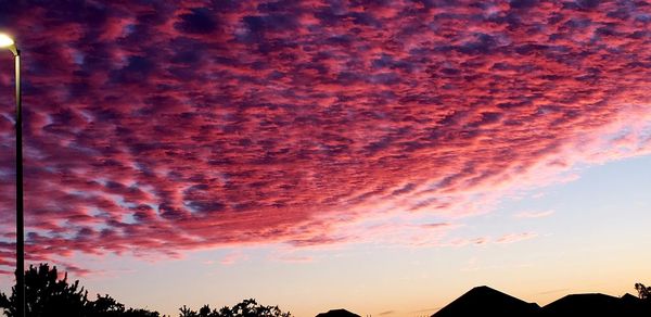 Low angle view of silhouette trees against sky during sunset