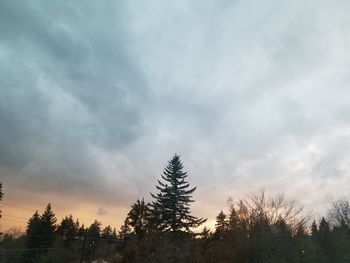 Low angle view of silhouette trees against sky