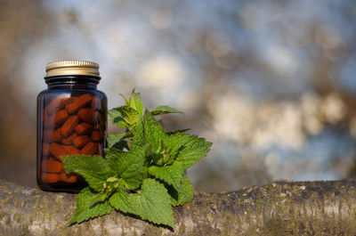 Close-up of glass jar on table