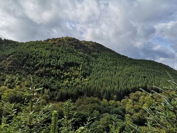 Scenic view of green landscape against sky