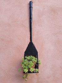 High angle view of potted plant