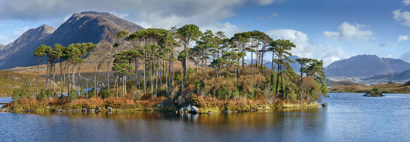 Scenic view of lake by trees against sky