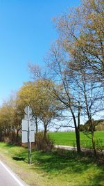 Trees on field against clear blue sky