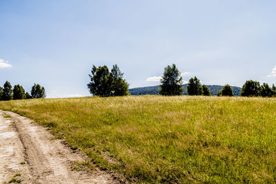 Scenic view of field against sky