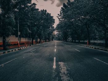 Empty road along trees and plants in city