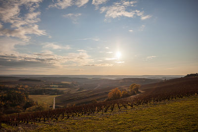 Scenic view of agricultural field against sky during sunset