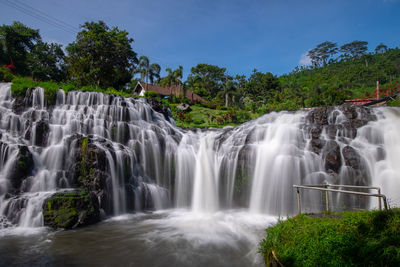 Scenic view of waterfall in forest