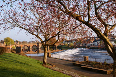 Arch bridge over river against sky