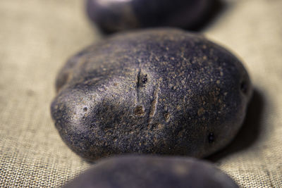 close-up