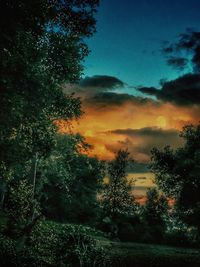 Silhouette trees in forest against sky at sunset