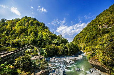 Scenic view of river amidst trees against sky