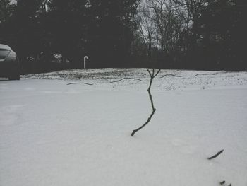 snow