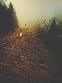 Scenic view of field against sky during winter