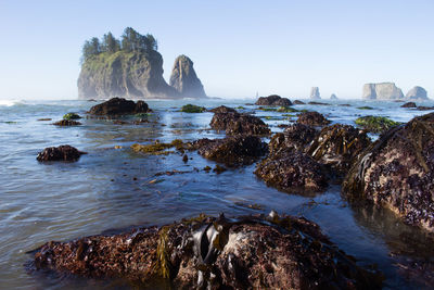 Scenic view of sea against clear sky