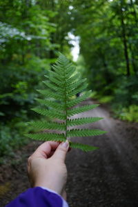 Midsection of man holding plant