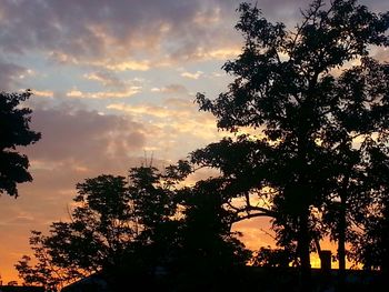 Low angle view of silhouette trees against sky at sunset