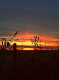 Silhouette of agricultural field against sky during sunset